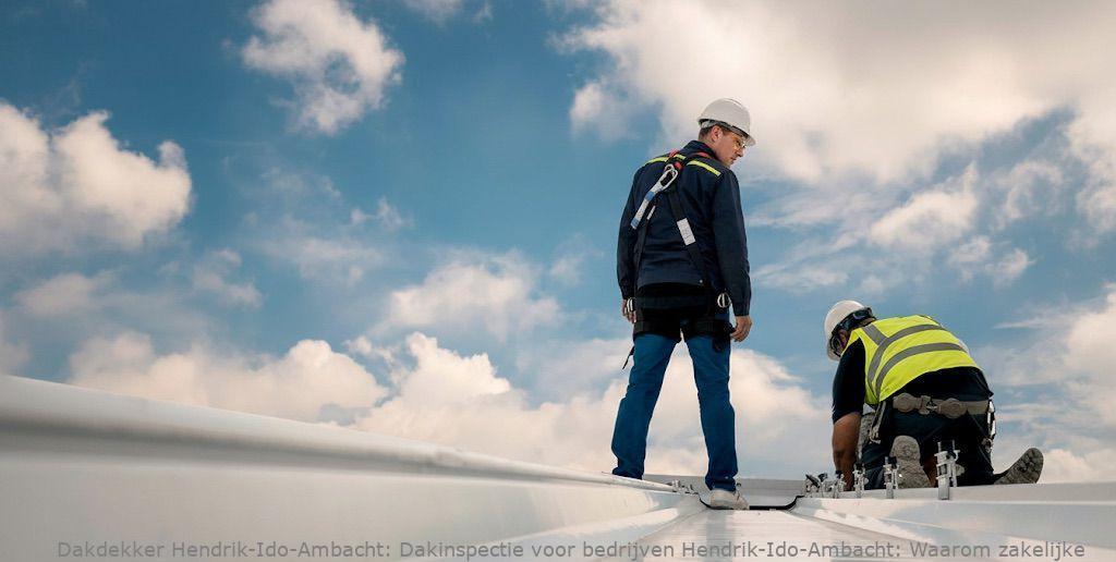 Dakinspectie Voor Bedrijven Hendrik Ido Ambacht