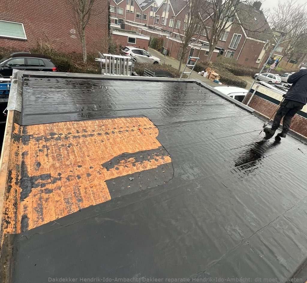 Dakleer Reparatie Hendrik Ido Ambacht
