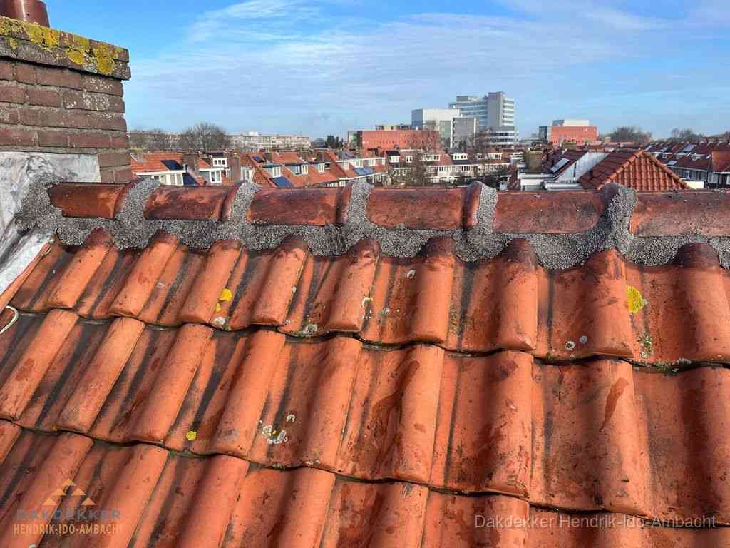 Hendrikidoambacht Daken Renoveren