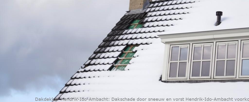 Schade Door Sneeuw En Vorst Hendrik Ido Ambacht